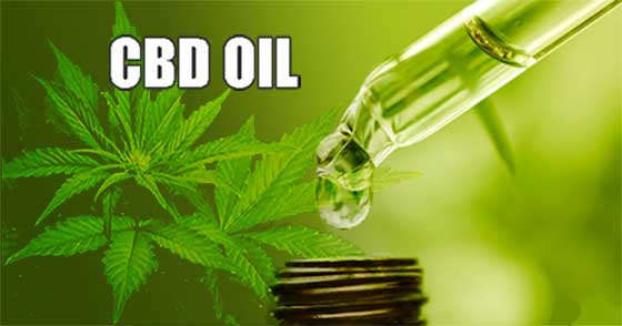 CBD Oil with Medicine Dropper